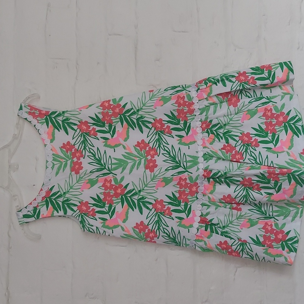 Janie and Jack Drop Waist Floral Dress Size 4, Pink and Green